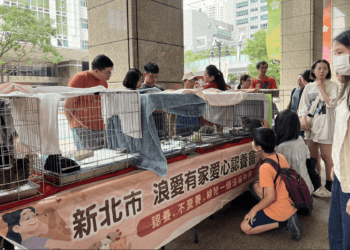 新北市動保處舉辦寵物用品交換會 愛心認養、免費狂犬施打 4/21等你來