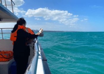 環保自然葬潮漲 新北市今年舉行14,333植存和668海葬