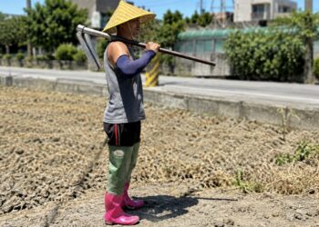 新北重新橋觀光市集10/9日推出農夫裝扮一元購活動 邀民眾支持在地農業