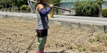 新北重新橋觀光市集10/9日推出農夫裝扮一元購活動 邀民眾支持在地農業