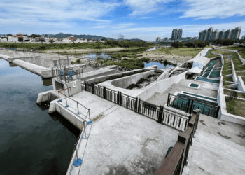 碧潭堰生態修復見成效 香魚、毛蟹陸續回歸 期待再創高峰