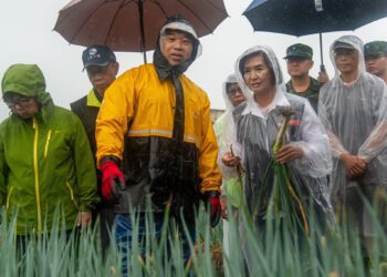 颱風來襲　林姿妙視察金柑及青蔥防颱情形