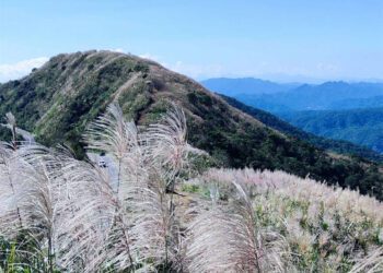 新北市雙溪區富含人文歷史   陶冶身心的深度之旅