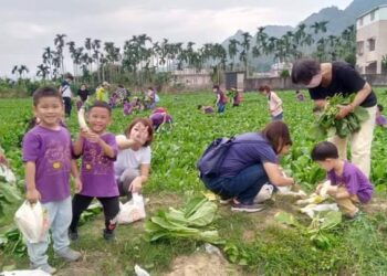 美濃客家庄迎接白玉蘿蔔季 教學農場鄉土體驗活動夯