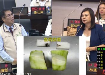 林燕祝批南市府讓劣質爛菜送學校中央廚房且得標廠商與北門槍擊案槍手有關