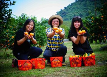 影音/悠遊休閒農業區綠色旅遊 帶您探索宜蘭大進水果故鄉和美食寶藏