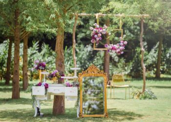 青青食尚花園會館　全新廳房即將推出「12萬夢幻微婚」限量預訂搶購中