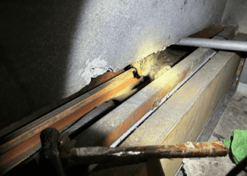 貓咪困牆間 新北動保員動用工具突破銀行壁 成功解救萌寵