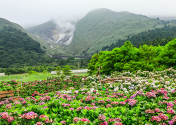 花季過後正精彩！Voyage陽明山攜手在地農友推首條「綠色保育」遊程