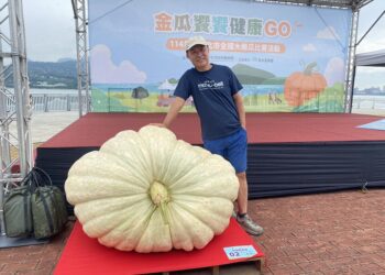 732斤大南瓜王誕生！淡水南瓜展售會本週登場 歡迎全家來共襄盛舉