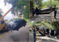 影音/為閃避黃喉貂 自小客翻車5人受傷