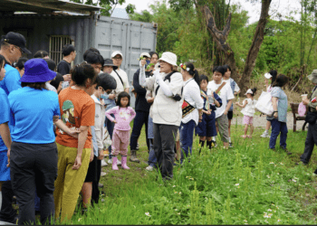 返璞歸真 新北「原來這樣野」食農體驗 帶你從產地到餐桌感受原民智慧