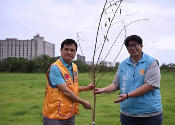 國際獅子會300A5區捐贈花旗木　美化佐倉運動公園景觀