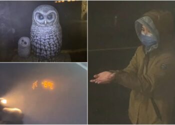 太平山下雪了！