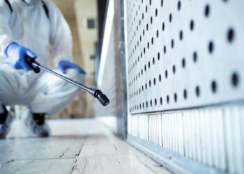 白蟻防治小撇步  輕鬆打造無蟻家園