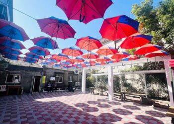 繽紛洋傘綻放打卡新亮點 秀水金興番花道聚落全齡好遊 獲建築園冶獎青睞