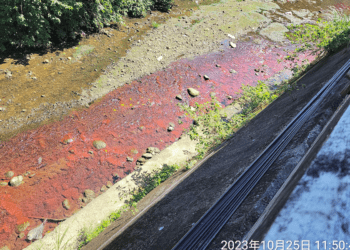 三峽溪現紅色污水 調配漆料工作室違反法規將面臨嚴厲處罰