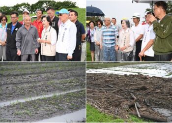 康芮颱風狂襲　宜蘭農損面積逾9.4成