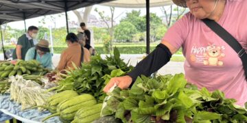 新北原民局ina趕集趣市集登場  邀請市民感受部落土地與飲食智慧