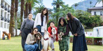 大溪笠復威斯汀打造北部飯店首座「毛孩樂園」 從寵物友善走向寵物共融