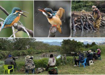 影音/生態日豐！太平溪濕地引人潮 環保局籲友善守護環境
