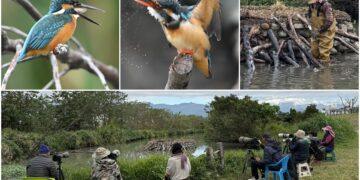 影音/生態日豐！太平溪濕地引人潮 環保局籲友善守護環境