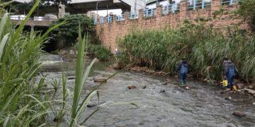 窮追不捨！新北稽查員跨溪溯源 揪出林子溪上游營造廠污染公司田溪元兇