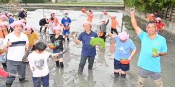 宜蘭嚴選優質米競賽起跑 完整評選提升宜蘭米品質與市場辨識度
