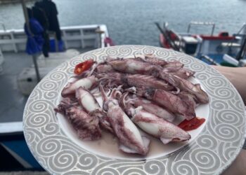 每到夏天就要吃小卷 尚青的小卷在深澳漁港