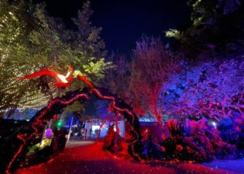 「台中龍賀」中央公園導覽APP正式上線 歡迎下載暢遊中台灣元宵燈會