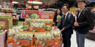 深耕高端市場 台東縣長赴港訪查鳳梨釋迦通路