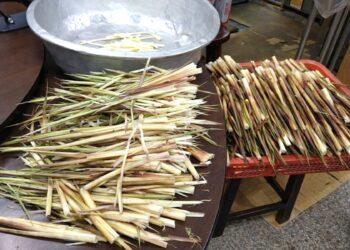 想採「陽明山珍」先辦證！新北農業局提醒：淡水、三芝等 5 區農民申請開跑