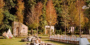 「青青食尚」花園限定回饋 憑「士林官邸菊花展」票 食旅享優惠