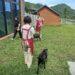 前進全台最美動物之家!瑞芳「山中教堂」免費接駁開跑 週一至週日皆可預約