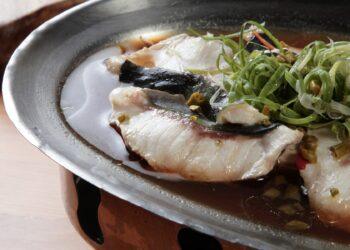 走進水中活化石的世界！新北漁業處推三峽輕旅行 解鎖鱘龍魚生態導覽祕密