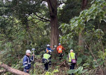 新北樹保大會通過土城司法園區老樹移植 首創延長養護期至 5 年監測