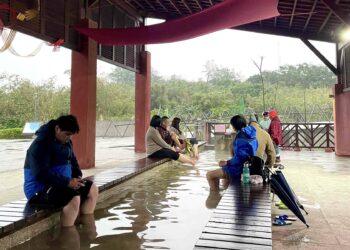 馬年走春首選！金山漫遊推 880 元「暖冬樂享券」 溫泉、地瓜、萬里蟹一次滿足