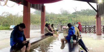 馬年走春首選！金山漫遊推 880 元「暖冬樂享券」 溫泉、地瓜、萬里蟹一次滿足