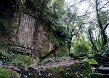 新北野山林系列活動秋季登場　規劃四條特色步道邀請民眾報名體驗