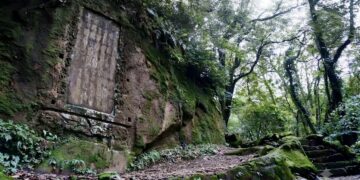 新北野山林系列活動秋季登場　規劃四條特色步道邀請民眾報名體驗
