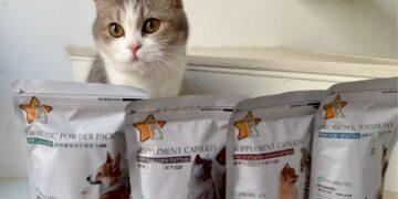 寵星以愛心為初心！周年慶感恩登場　買二送一回饋飼主