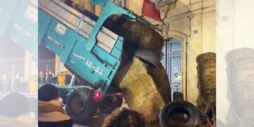 影音/法國牛結節疹疫情蔓延 防疫政策引爆農民怒火