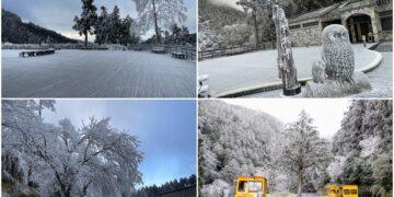 影音/持續低溫 太平山再現霧淞美景 遊客：超漂亮