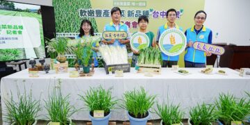 中區農改場成功育成韭菜新品種 ‘台中1號’提升國產韭菜品質及農民收益