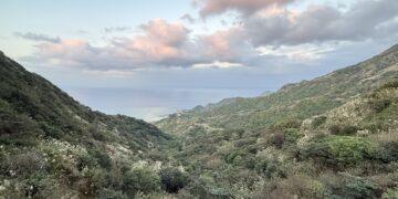 百歲金瓜石鍊金師張阿輝　見證礦山歲月與失傳技藝