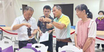 影音/彰化縣優質葡萄果品評鑑競賽 16位得獎農友脫穎而出