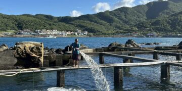 新北市漁業處推出貢寮鮑食魚教育課程 帶領民眾認識在地水產品與永續理念