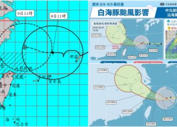 影音/父親節白海豚來攪局 外圍環流帶來影響