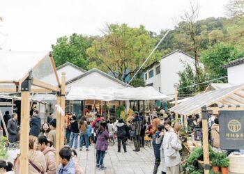 茶山裡的感官實驗！新北「春澗學」跨足六大區 3/21-22 坪林主場市集不容錯過