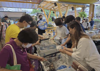 限量福袋來了！貢寮鮑展售會11/29、30開搶899元海鮮福袋 再享消費額抽獎